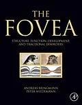E-Book (epub) The Fovea von Andreas Bringmann, Peter Wiedemann MD