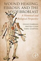 E-Book (epub) WOUND HEALING, FIBROSIS, AND THE MYOFIBROBLAST von Giulio Gabbiani, Matteo Coen, Fabio Zampieri