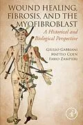 E-Book (epub) Wound Healing, Fibrosis, and the Myofibroblast von Giulio Gabbiani, Matteo Coen, Fabio Zampieri