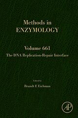 eBook (epub) The DNA Replication-Repair Interface de 