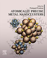 eBook (epub) Atomically Precise Metal Nanoclusters de 