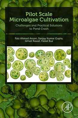 E-Book (epub) Pilot Scale Microalgae Cultivation von Faiz Ahmad Ansari, Sanjay Kumar Gupta, Ismail Rawat