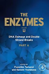 E-Book (epub) DNA Damage and Double Strand Breaks von 