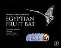 E-Book (epub) Stereotaxic Brain Atlas of the Egyptian Fruit Bat von Raya Eilam-Altstadter, Liora Las, Menno Witter