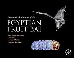 E-Book (epub) Stereotaxic Brain Atlas of the Egyptian Fruit Bat von Raya Eilam-Altstadter, Liora Las, Menno Witter