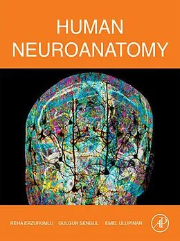 E-Book (epub) Human Neuroanatomy von Reha Erzurumlu, Gulgun Sengul, Emel Ulupinar