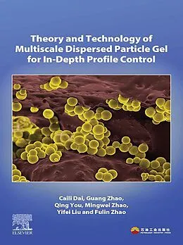 E-Book (epub) Theory and Technology of Multiscale Dispersed Particle Gel for In-Depth Profile Control von Caili Dai, Guang Zhao, Qing You
