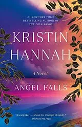 Broschiert Angel Falls von Kristin Hannah