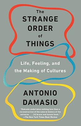 Poche format B The Strange Order of Things von Antonio Damasio