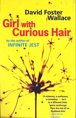 E-Book (epub) Girl With Curious Hair von David Foster Wallace