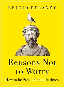 Couverture cartonnée Reasons Not to Worry de Delaney Brigid