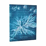 Kartonierter Einband Sea Flowers (Anna Atkins' Cyanotypes) Ultra Lined Softcover Journal (Elastic Band Closure) von Paperblanks