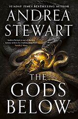 Livre Relié The Gods Below de Stewart Andrea