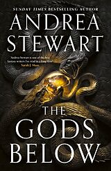 Couverture cartonnée The Gods Below de Stewart Andrea