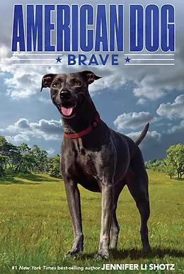 E-Book (epub) Brave von Jennifer Li Shotz