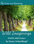 E-Book (epub) Wild Imaginings - Flash Fiction and Essays von Nancy Schoellkopf