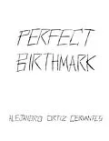 E-Book (epub) Perfect Birthmark von Alejandro Ortiz Cervantes