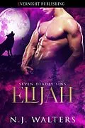 E-Book (epub) Elijah von N. J. Walters