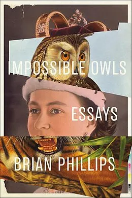 E-Book (epub) Impossible Owls von Brian Phillips