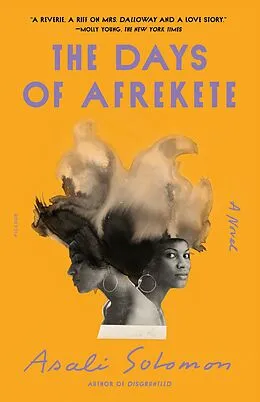 E-Book (epub) The Days of Afrekete von Asali Solomon