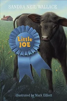 E-Book (epub) Little Joe von Sandra Neil Wallace