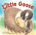 E-Book (epub) Little Goose von David Mraz