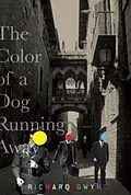 E-Book (epub) The Color of A Dog Running Away von Richard Gwyn