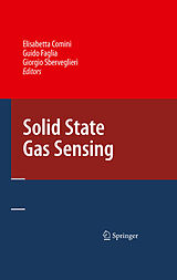 eBook (pdf) Solid State Gas Sensing de Elisabetta Comini, Guido Faglia, Giorgio Sberveglieri