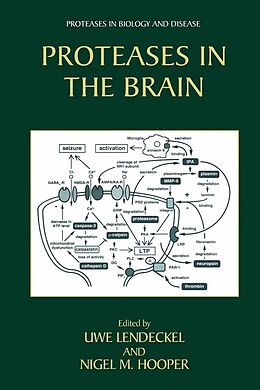 eBook (pdf) Proteases in the Brain de 