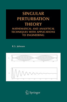 Fester Einband Singular Perturbation Theory von R.S. Johnson