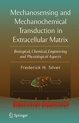 Fester Einband Mechanosensing and Mechanochemical Transduction in Extracellular Matrix von Frederick H. Silver