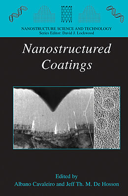 Fester Einband Nanostructured Coatings von 