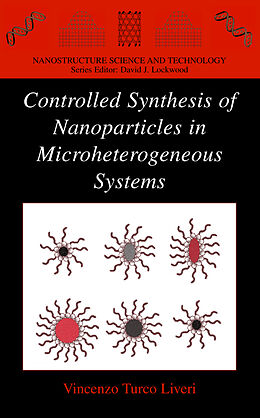 Fester Einband Controlled Synthesis of Nanoparticles in Microheterogeneous Systems von Vincenzo Turco Liveri