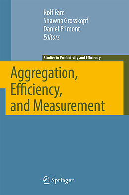 Livre Relié Aggregation, Efficiency, and Measurement de 