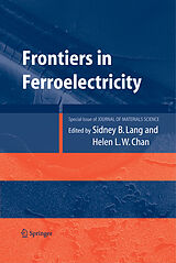 eBook (pdf) Frontiers of Ferroelectricity de Sidney B. Lang, Helen L. W. Chan