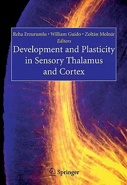 E-Book (pdf) Development and Plasticity in Sensory Thalamus and Cortex von Reha Erzurumlu, William Guido, Zoltán Molnár