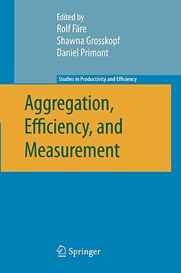 eBook (pdf) Aggregation, Efficiency, and Measurement de 