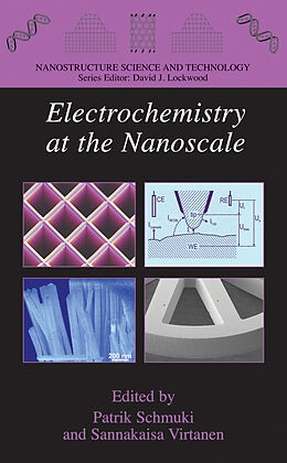 Livre Relié Electrochemistry at the Nanoscale de 