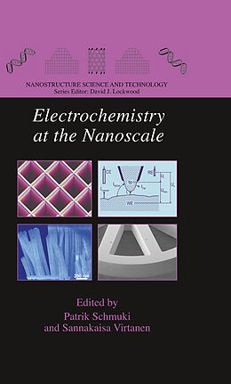 eBook (pdf) Electrochemistry at the Nanoscale de 