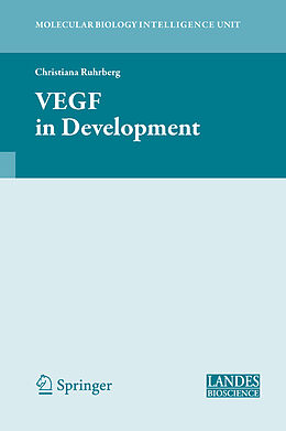 Fester Einband VEGF in Development von 