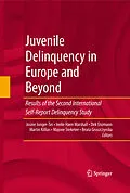 E-Book (pdf) Juvenile Delinquency in Europe and Beyond von Dirk Enzmann, Beata Gruszcynska, Ineke Haen-Marshall
