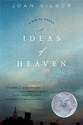 E-Book (epub) Ideas of Heaven von Joan Silber