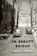 E-Book (epub) In Beauty Bright von Gerald Stern
