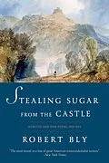 E-Book (epub) Stealing Sugar from the Castle von Robert Bly