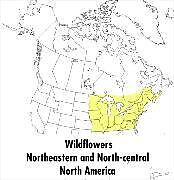 Couverture cartonnée A Peterson Field Guide to Wildflowers de Margaret McKenny, Roger Tory Peterson