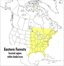 Couverture cartonnée A Peterson Field Guide to Eastern Forests de John Kricher