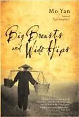 Fester Einband Big Breasts and Wide Hips von Yan Mo