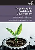 E-Book (pdf) Organizing for Sustainable Development von Federica Angeli, Ashley Metz, Jörg Raab