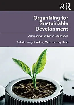 E-Book (pdf) Organizing for Sustainable Development von Federica Angeli, Ashley Metz, Jörg Raab