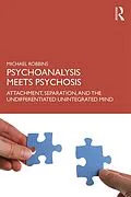 E-Book (pdf) Psychoanalysis Meets Psychosis von Michael Robbins